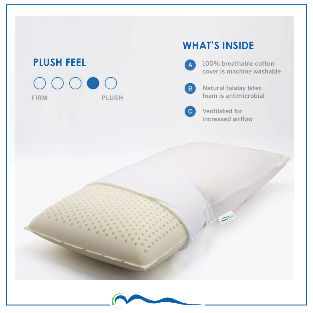 Latex Pillow Regular