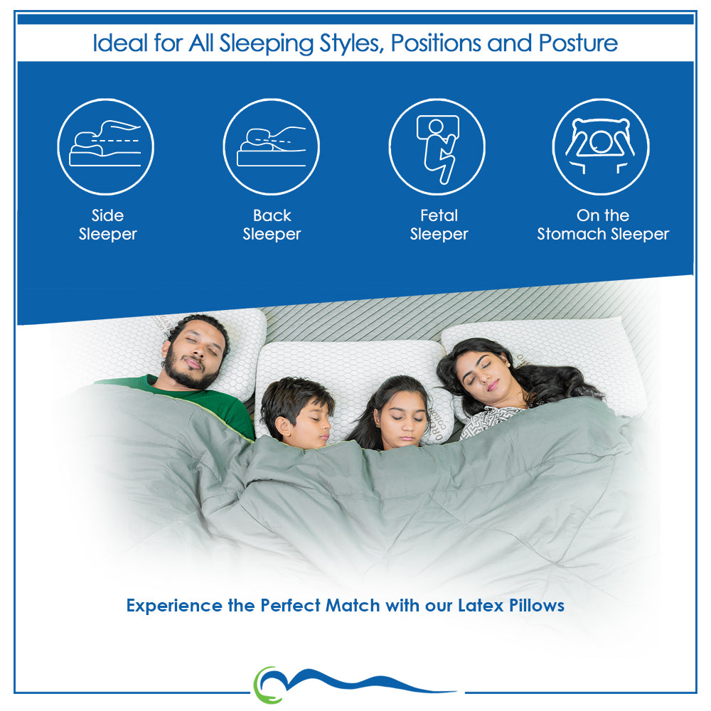 Latex Pillow Regular