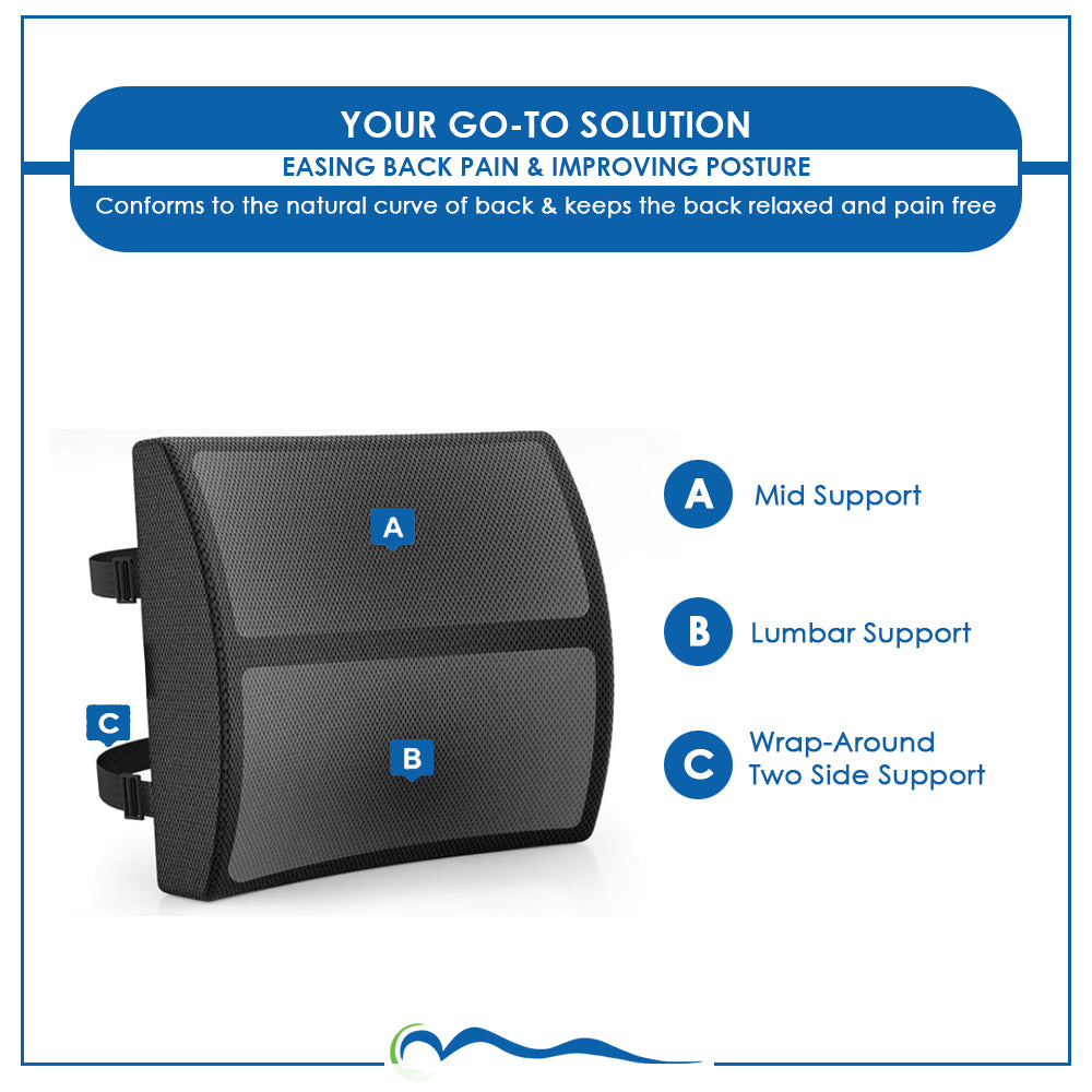 Latex Lumbar Support